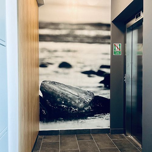 galeria